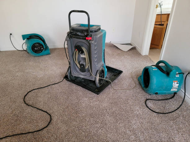 Best Sewage cleanup and water damage restoration  in West Rson, CA