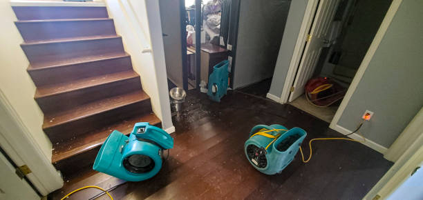 Best Water damage restoration near me  in West Rson, CA