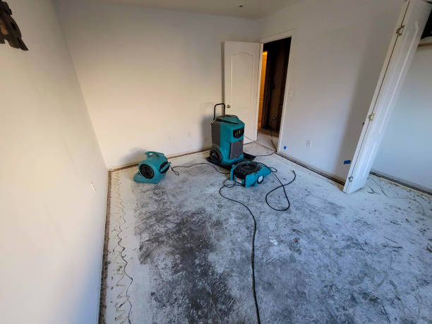 Best Water damage restoration specialists  in West Rson, CA