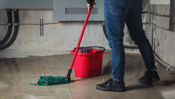 Best Basement water damage restoration  in West Rson, CA