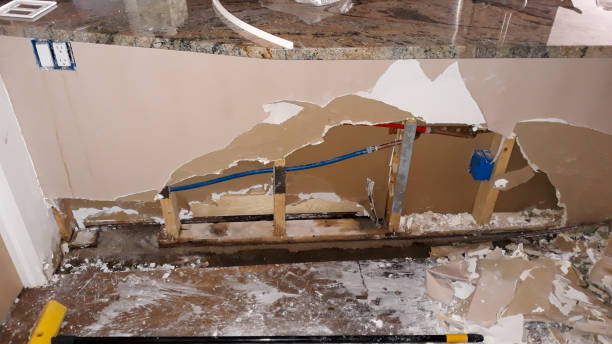 Best Ceiling water damage repair  in West Rson, CA