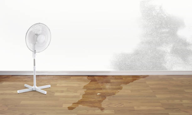  West Rson, CA Water damage restoration Pros