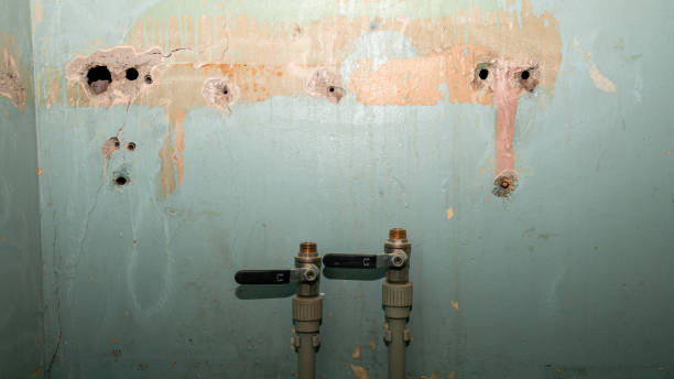 Best Professional water damage repair  in West Rson, CA