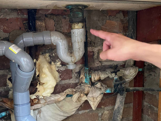 Best Water damage restoration process  in West Rson, CA