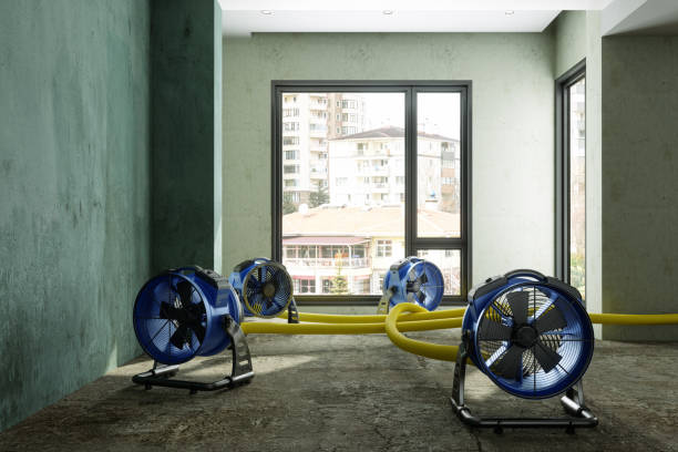 Best Basement water damage restoration  in West Rson, CA