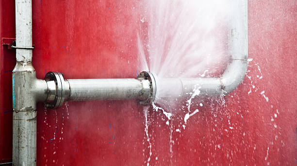 Best Carpet water damage restoration  in West Rson, CA