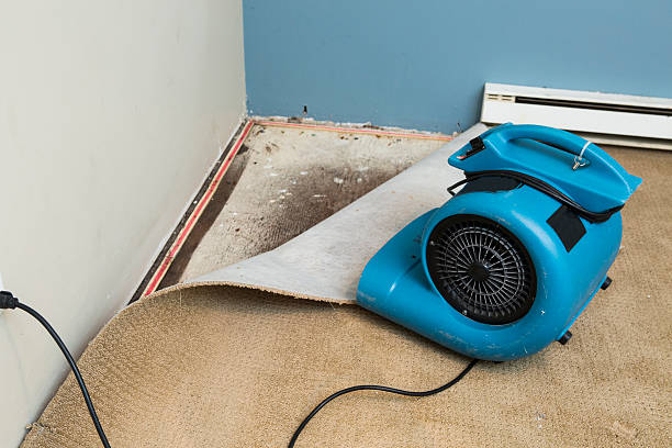 Best Flood restoration services  in West Rson, CA
